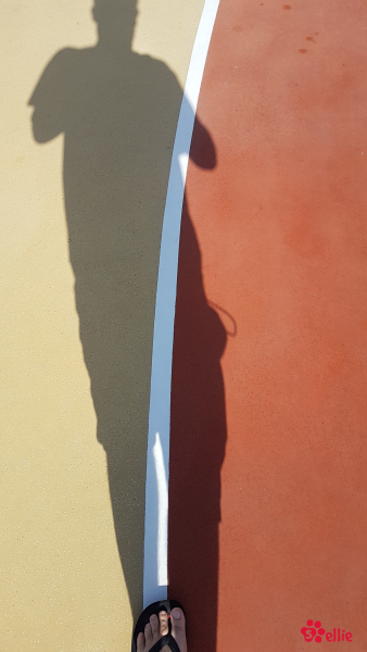 06.05.2018 16.43 | Navigator of the Seas