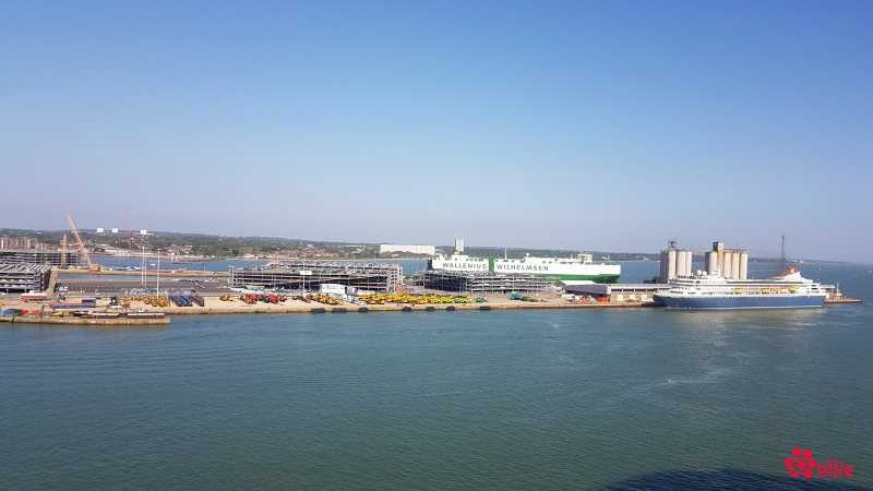 06.05.2018 16.52 | Navigator of the Seas