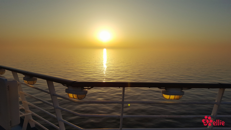 06.05.2018 20.02 | Navigator of the Seas