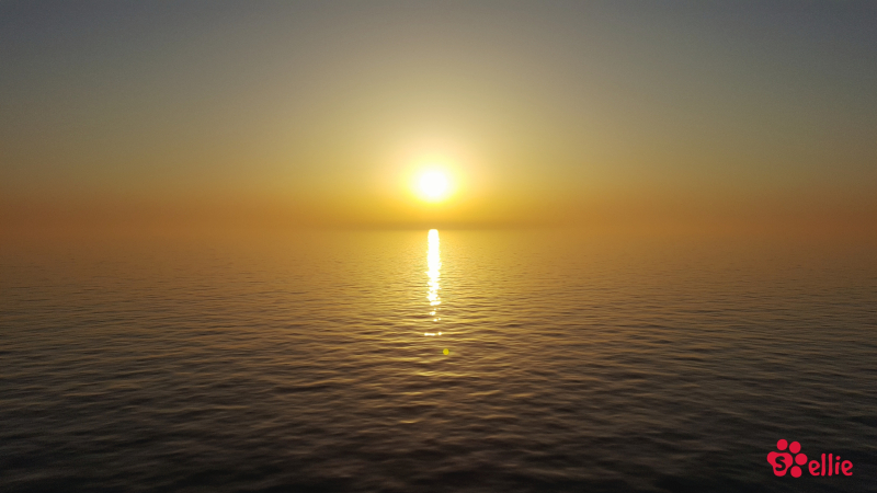 06.05.2018 20.02 | Navigator of the Seas