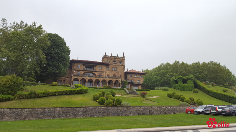 08. May 2018 11:23 | Palacio Lezama-Leguizamón