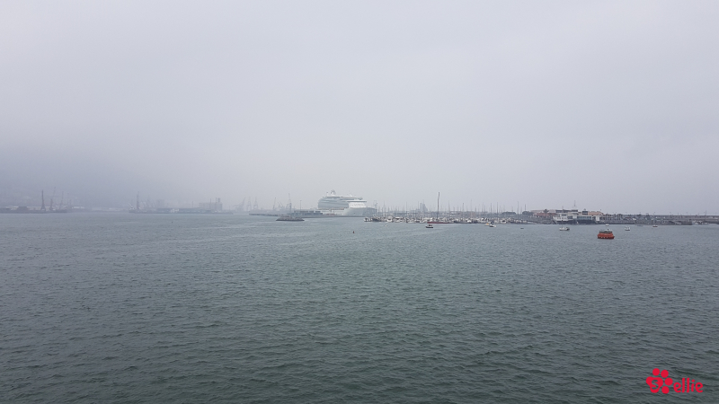 08. May 2018 11:28 | Navigator of the Seas