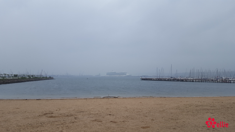 08. May 2018 11:42 | Las Arenas Beach