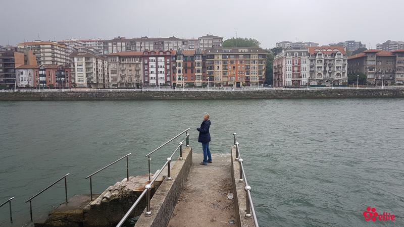 08. May 2018 11:44 | Mirador Puente de Vizcaya