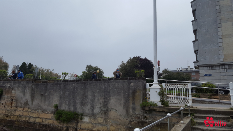 08. May 2018 11:44 | Mirador Puente de Vizcaya