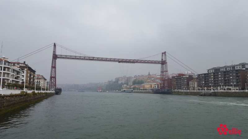 08. May 2018 11:46 | Puente de Vizcaya