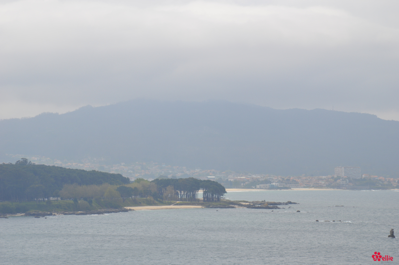 09. May 2018 | Vigo