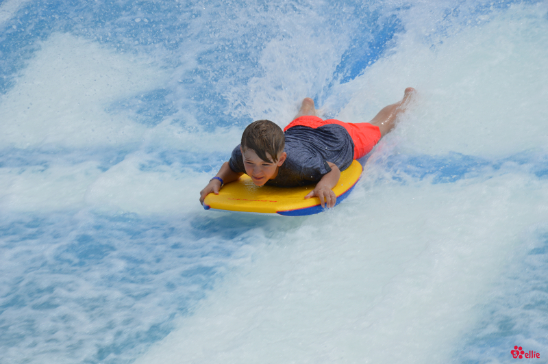 09. May 2018 | Navigator of the Seas