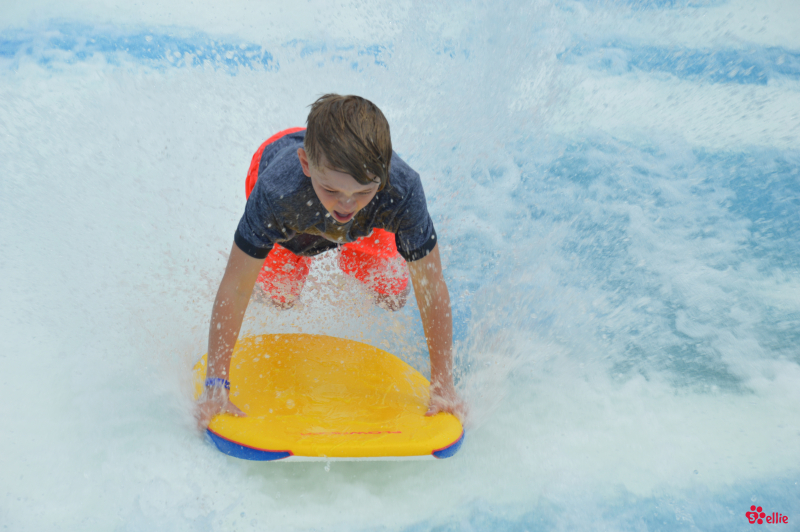 09. May 2018 | Navigator of the Seas