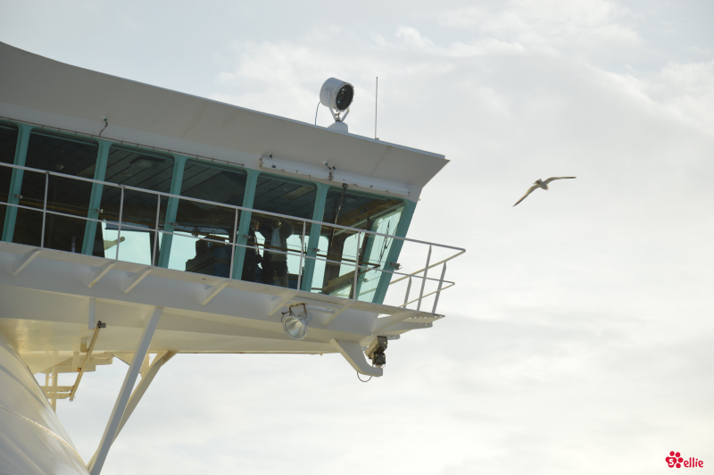 09. May 2018 | Navigator of the Seas