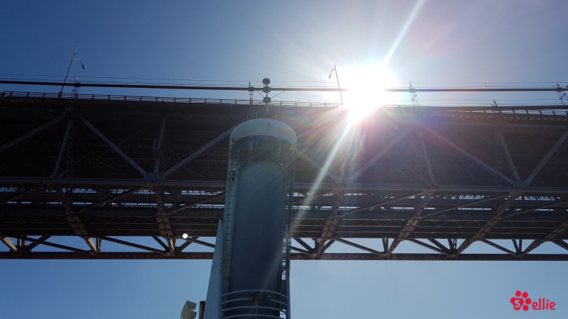 10. May 2018 10:14 | Lisboa