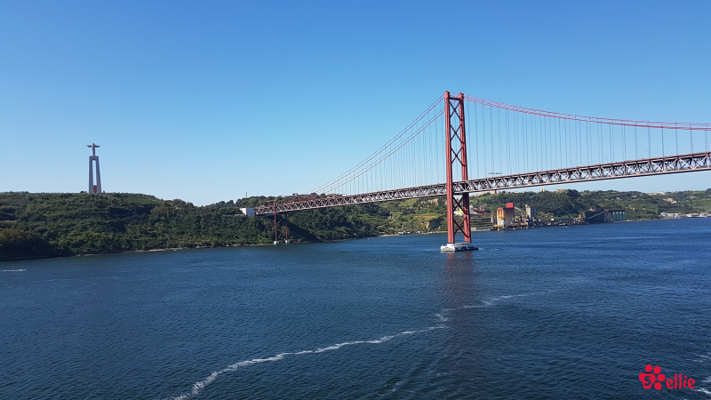 10. May 2018 10:16 | Lisboa