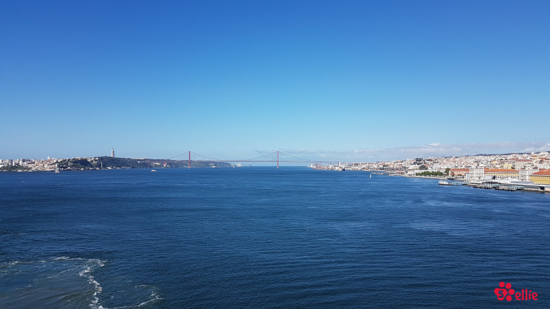 10. May 2018 10:34 | Lisboa