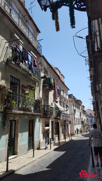 10. May 2018 14:26 | Lisboa
