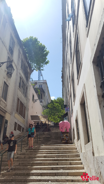 10. May 2018 14:49 | Lisboa