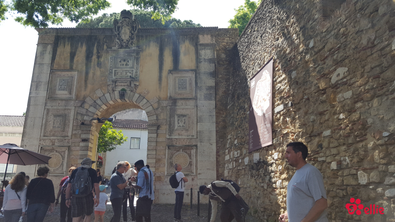 10. May 2018 15:31 | Lisboa