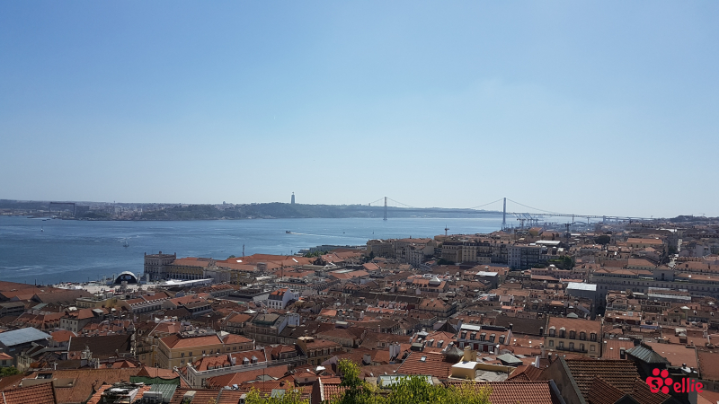 10. May 2018 16:05 | Lisboa