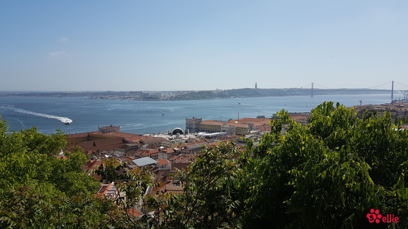10. May 2018 16:06 | Lisboa