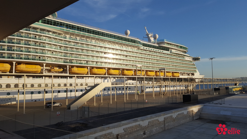 10. May 2018 19:46 | Lisboa