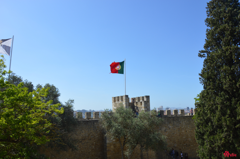 10. May 2018 16:28 | Lisboa