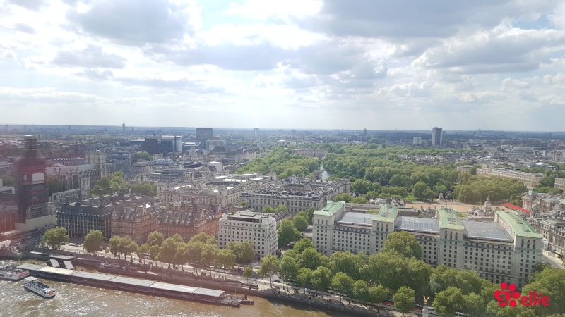 13. May 2018 15:03 | London