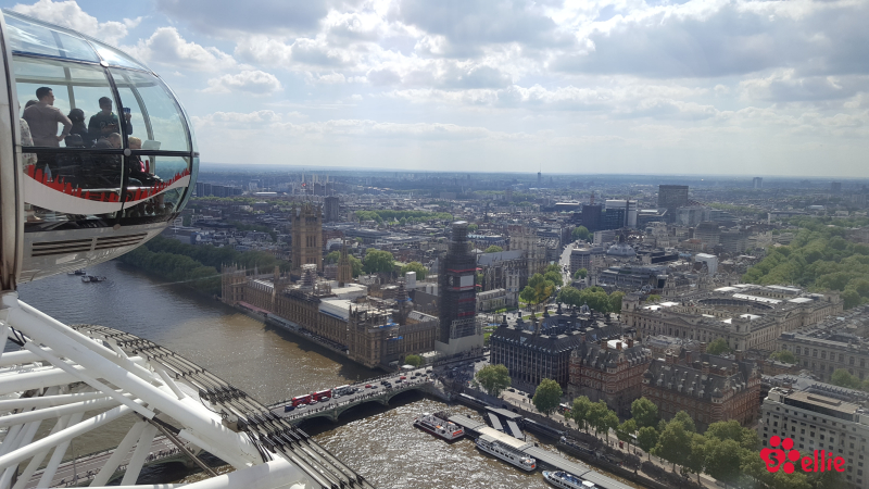 13. May 2018 15:07 | London