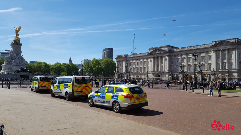 14. May 2018 10:32 | Buckingham Palace