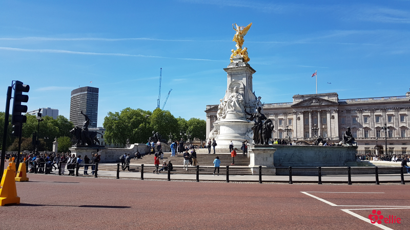 14. May 2018 10:34 | Buckingham Palace
