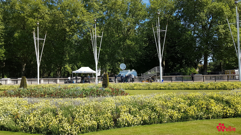14. May 2018 10:34 | Buckingham Palace