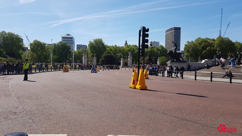 14. May 2018 10:34 | Buckingham Palace