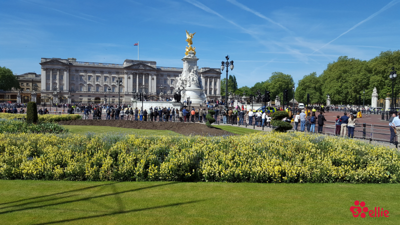 14. May 2018 10:42 | Horse Guards Parade